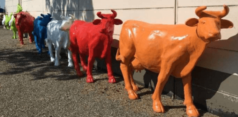 Bevat geen collageen type I, II, III, V en X